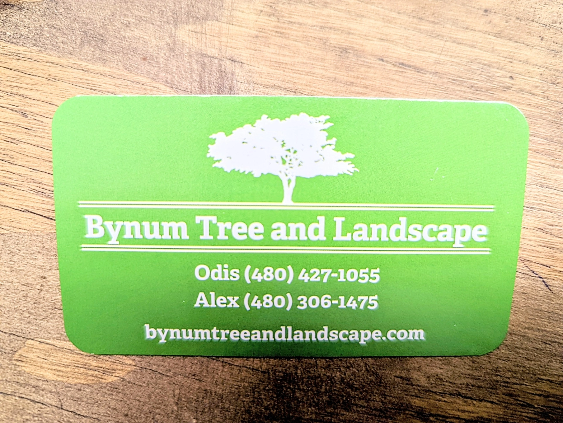 Bynum Tree and Landscape Logo