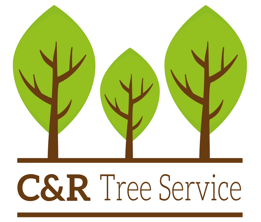 C & R Tree Service Logo