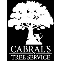 Cabral's Tree Service Logo