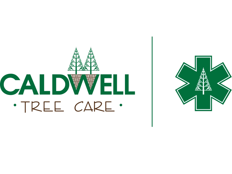 Caldwell Tree Care Logo