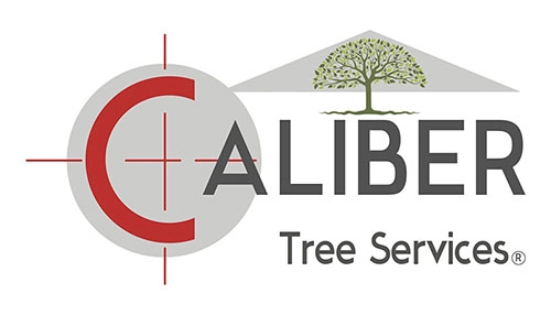 Caliber Tree Services Logo