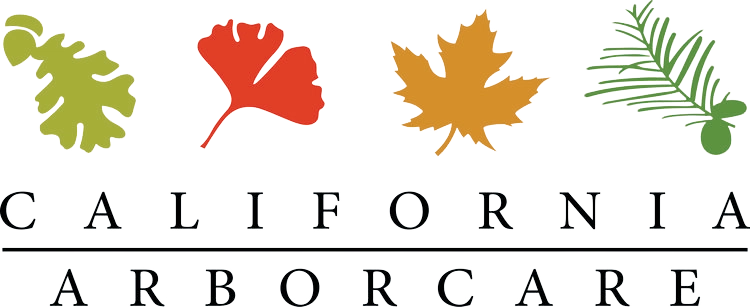 California Arbor Care Inc Logo