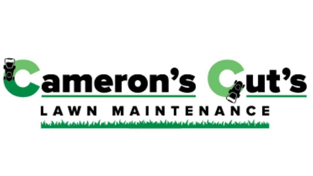 Cameron's cuts Logo