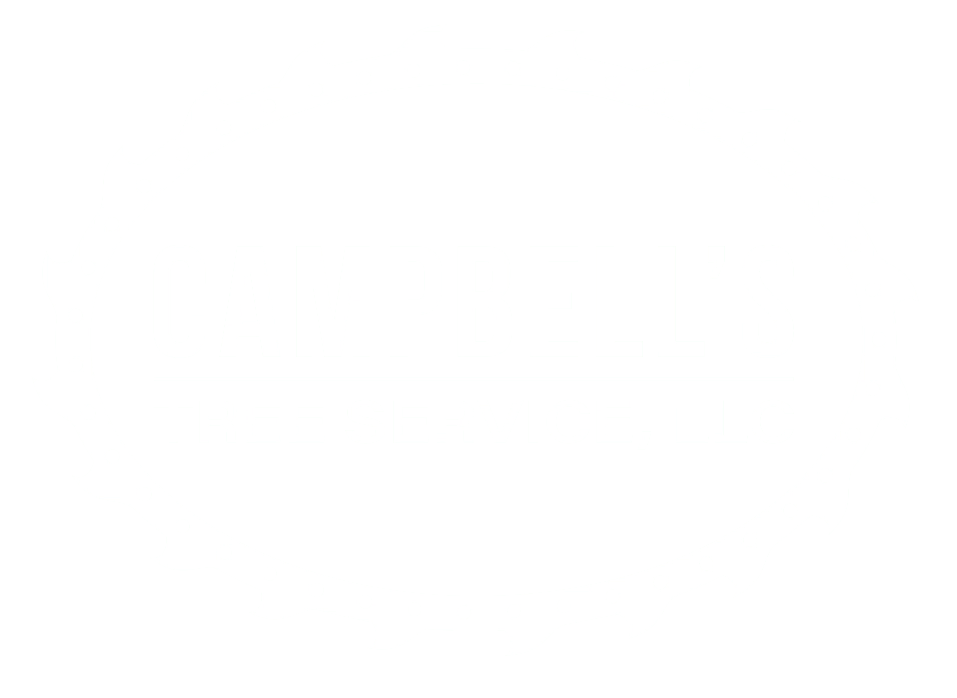 Campbell's Tree Service, LLC Logo