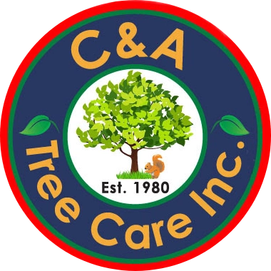 C&A Tree Care Inc Logo