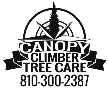 Canopy Climber Tree Care Logo