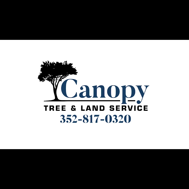 Canopy Tree Service Logo