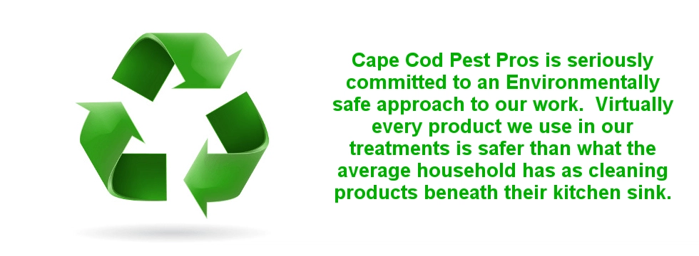 Cape Cod Pest Pros Logo