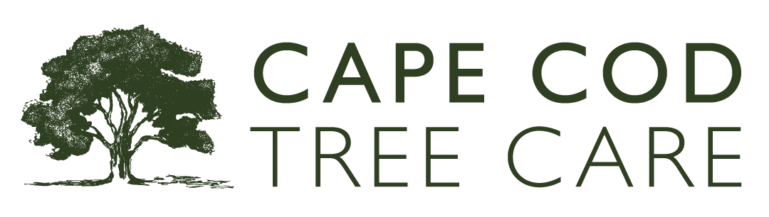 Cape Cod Tree Care Logo
