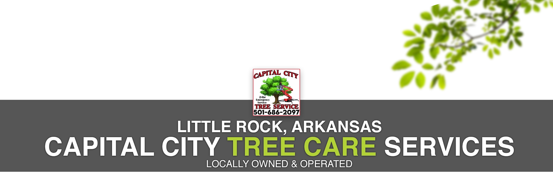 Capital City Tree Service Logo