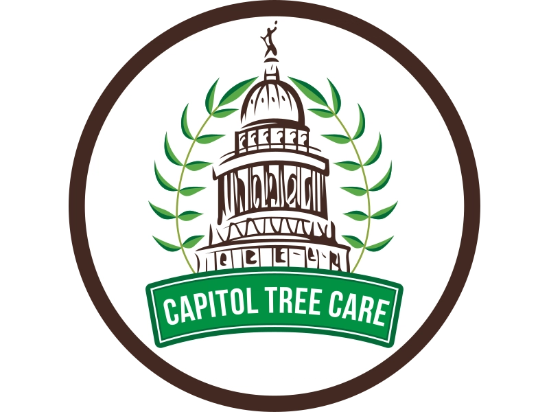 Capitol Tree Care Logo