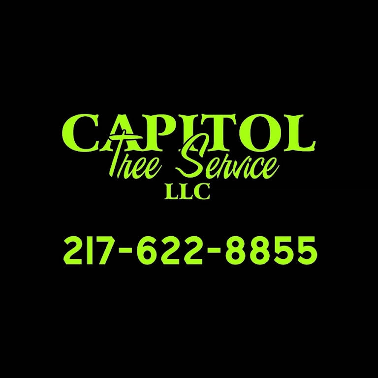 Capitol tree service LLC Logo