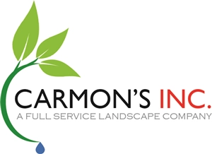 Carmon's Inc. Logo