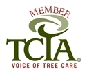 CARR TREE & TIMBER Logo