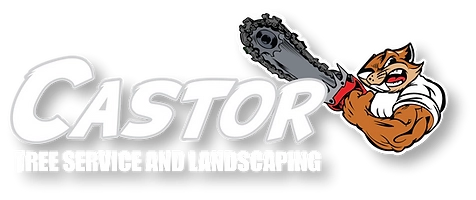 Castor Tree Service & Landscaping LLC Logo