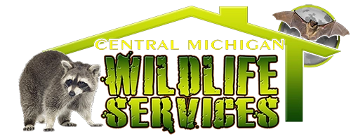 Central Michigan Wildlife Services Logo
