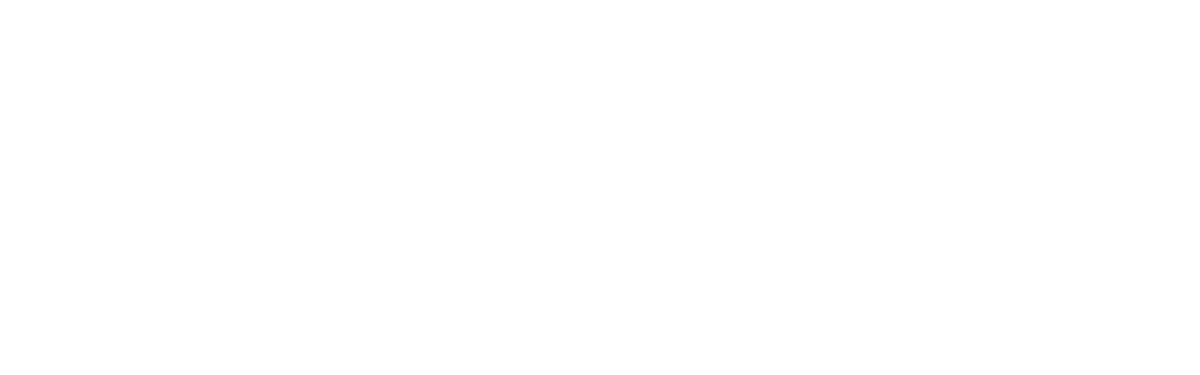 Champion Home Services Logo
