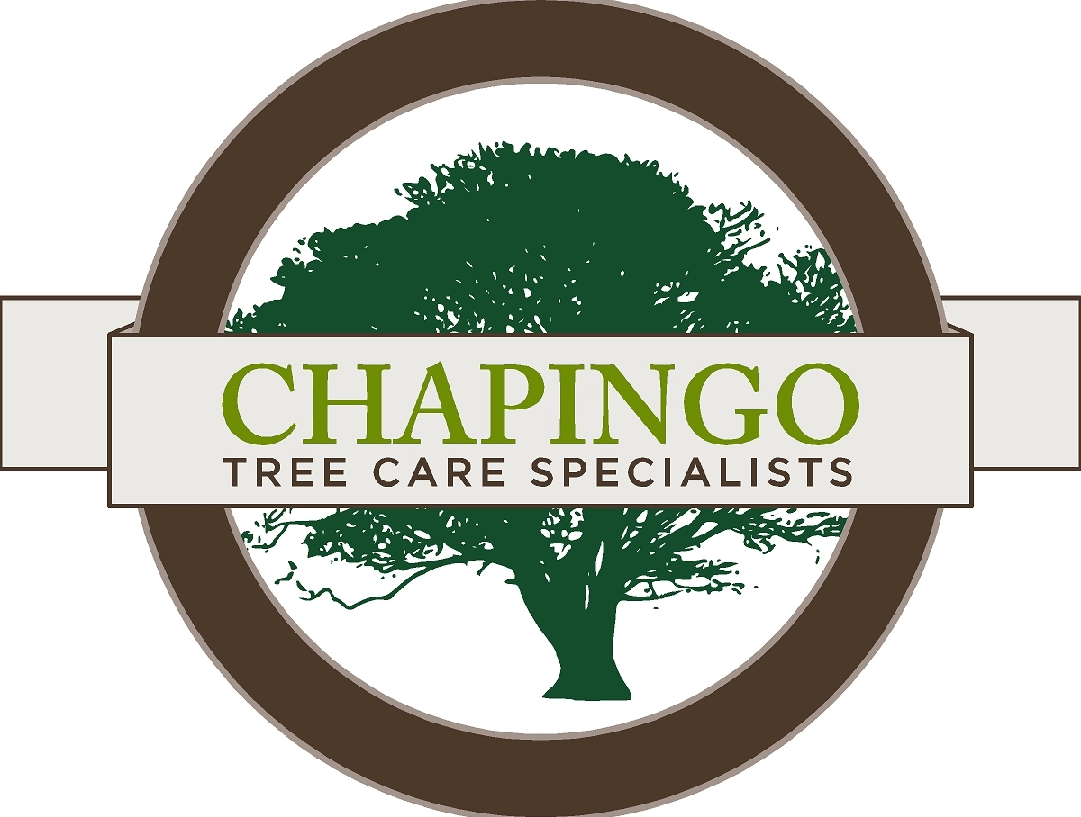 Chapingo Tree Care Specialists Logo