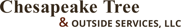 Chesapeake Tree & Outside Services LLC Logo