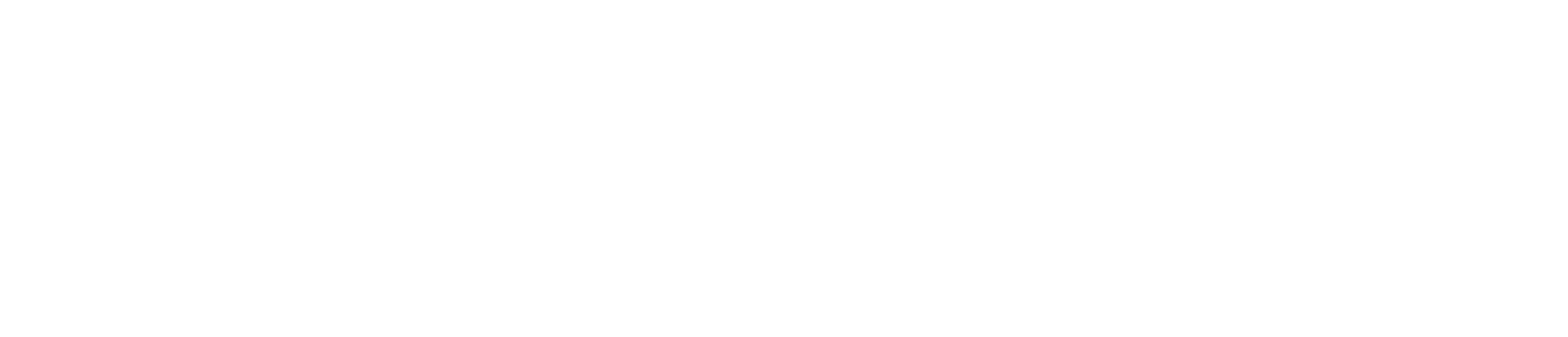 Chimneys Plus, LLC Logo