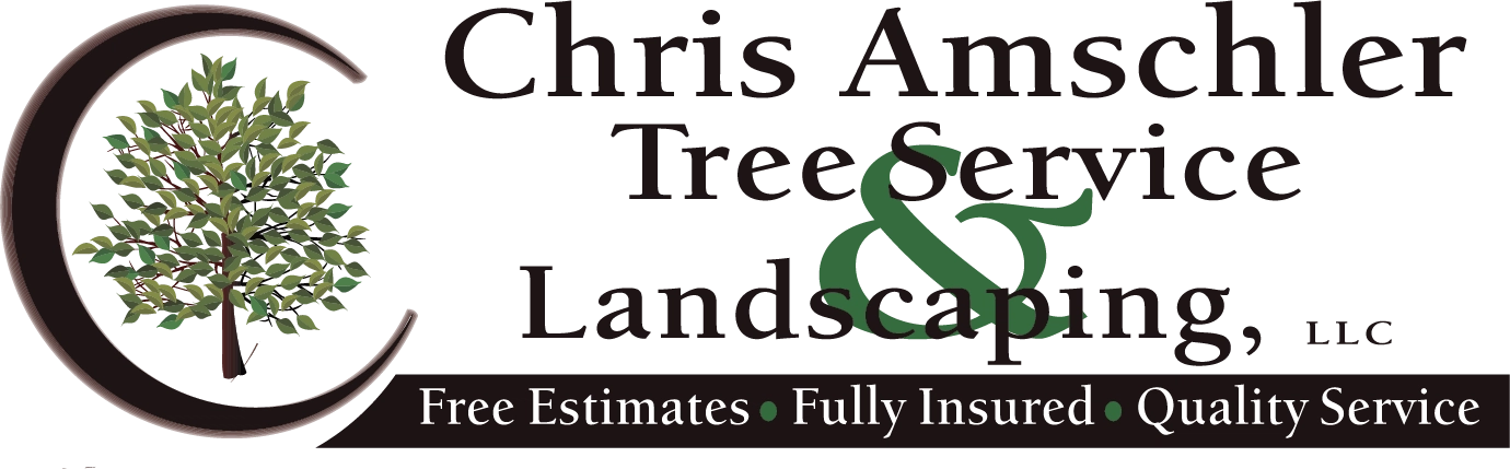 Chris Amschler Tree Service and Landscaping Logo