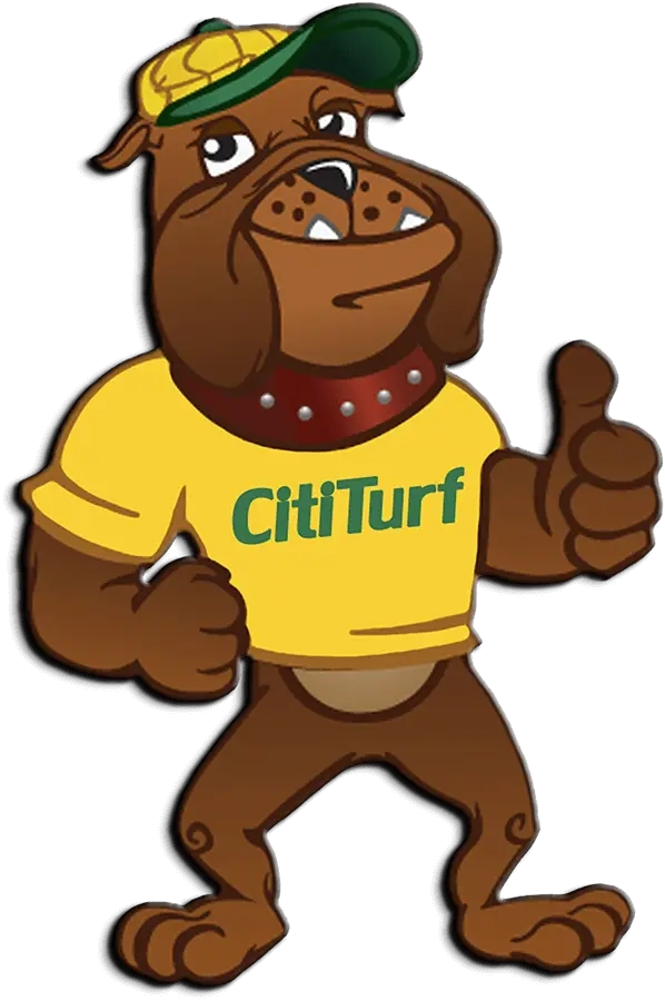 CitiTurf Logo