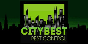 City Best Pest Control Logo