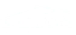 CK Lewis Construction Logo