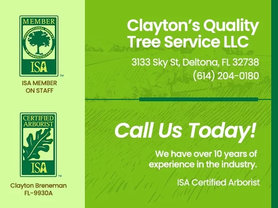 Clayton's Quality Tree Service LLC Logo
