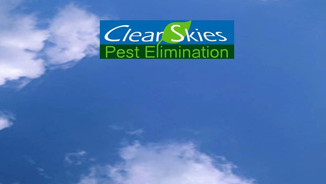 Clear Skies Pest Elimination Logo