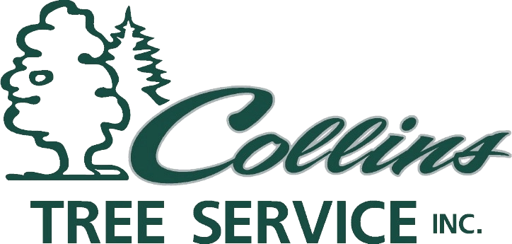 Collins Tree Service Inc Logo
