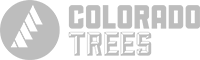 Colorado Trees Logo