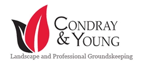 Condray & Young LLC Logo