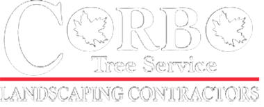 Corbo Tree & Landscaping Service Logo