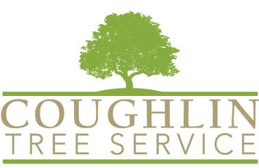 Coughlin Tree Service Logo