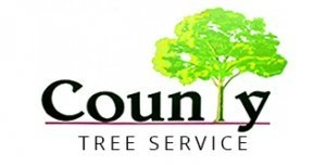 County Tree Service Logo