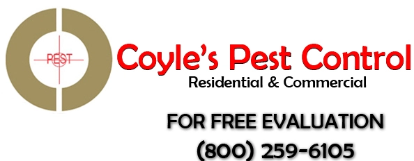 Coyle's Pest Control Lngvw Logo
