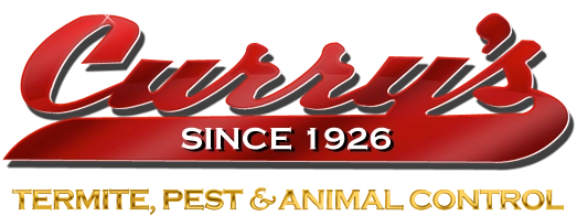Curry’s Termite, Pest & Animal Control Logo