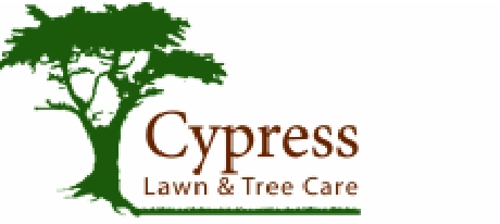 Cypress Lawn & Tree Logo