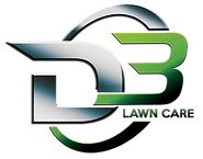 D3 Lawn Care Logo