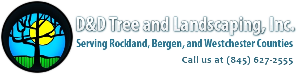 D&D Tree & Landscaping Inc Logo