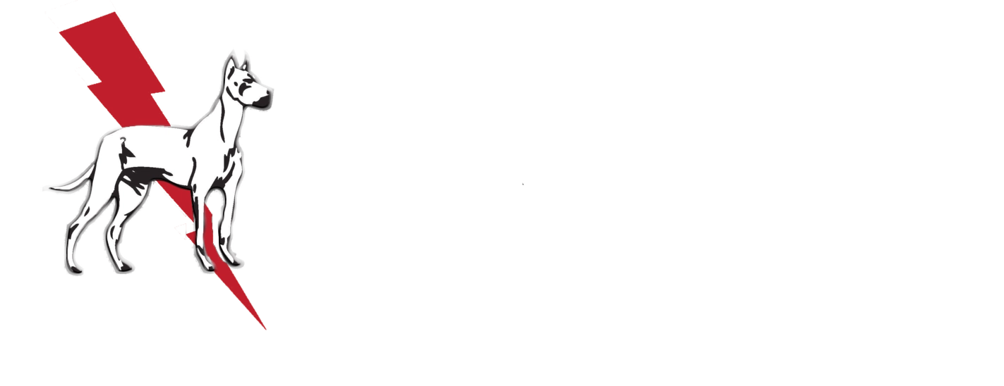 Dane and Associates Electric Company providing CurrentSafe Logo