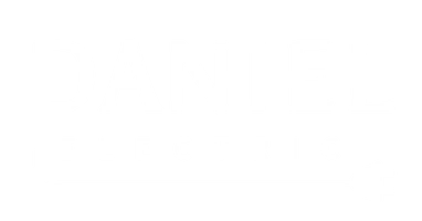 Daniel Electric Logo