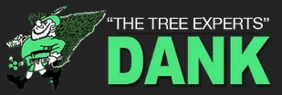 Dank Tree Experts Logo