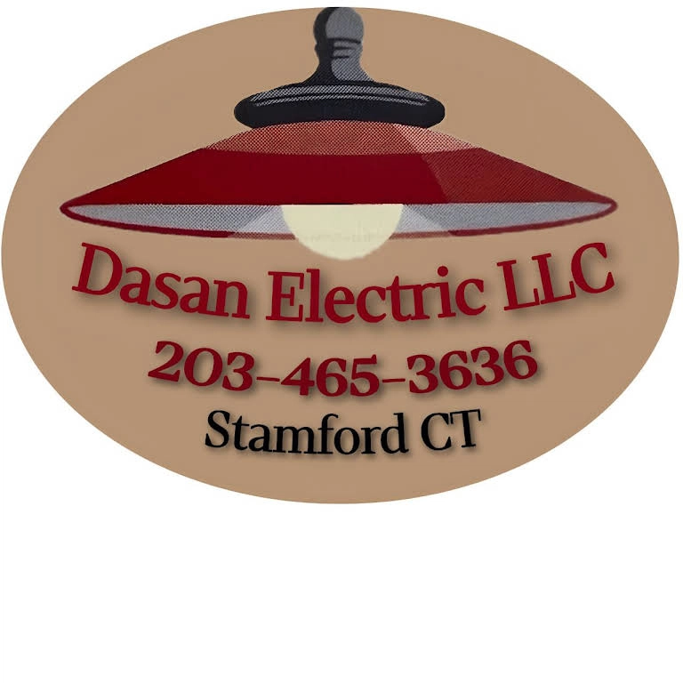 Dasan Electric LLC Logo