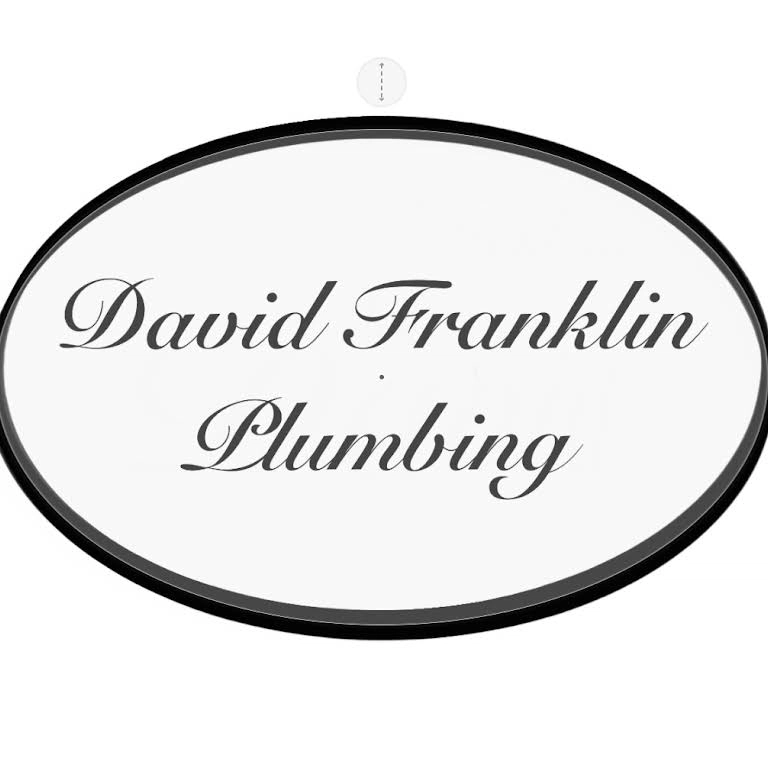 DAVID FRANKLIN PLUMBING Logo