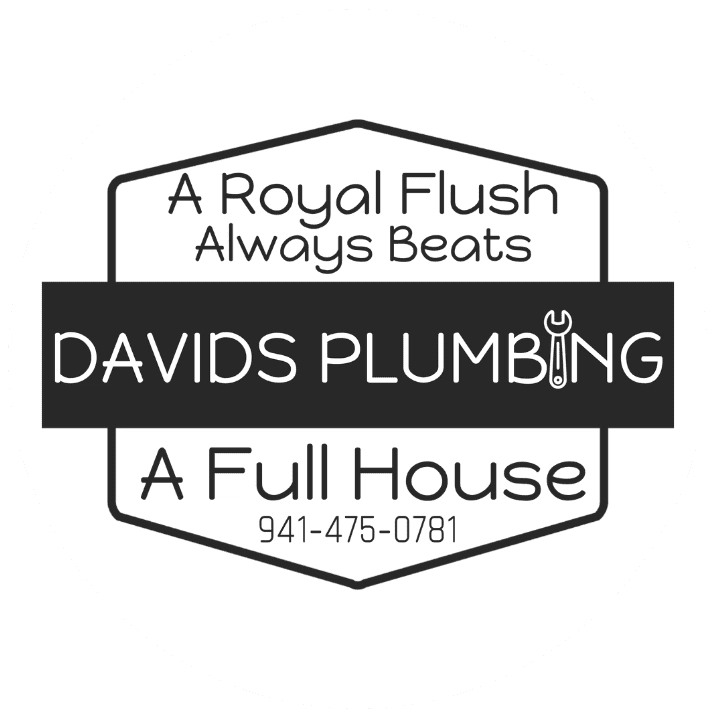 David's Plumbing Logo
