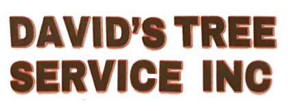 David's Tree Service inc. Logo