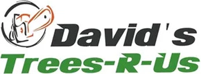 David's Trees R Us Logo