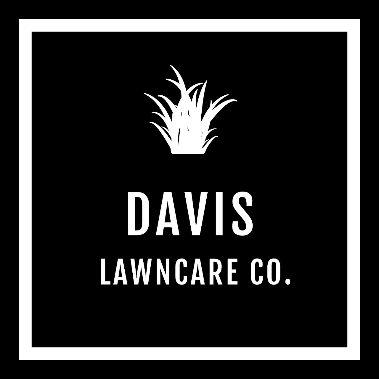 Davis Christmas Lights Logo